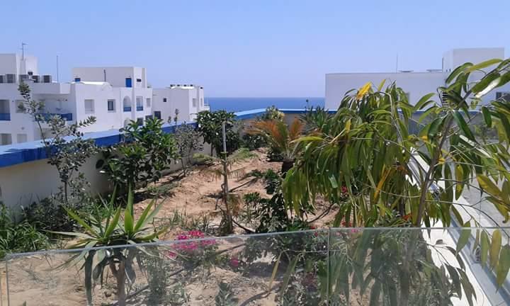 Le Lagon De Hammamet Quarto foto