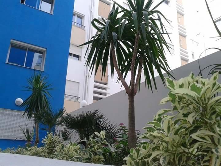 Le Lagon De Hammamet Quarto foto